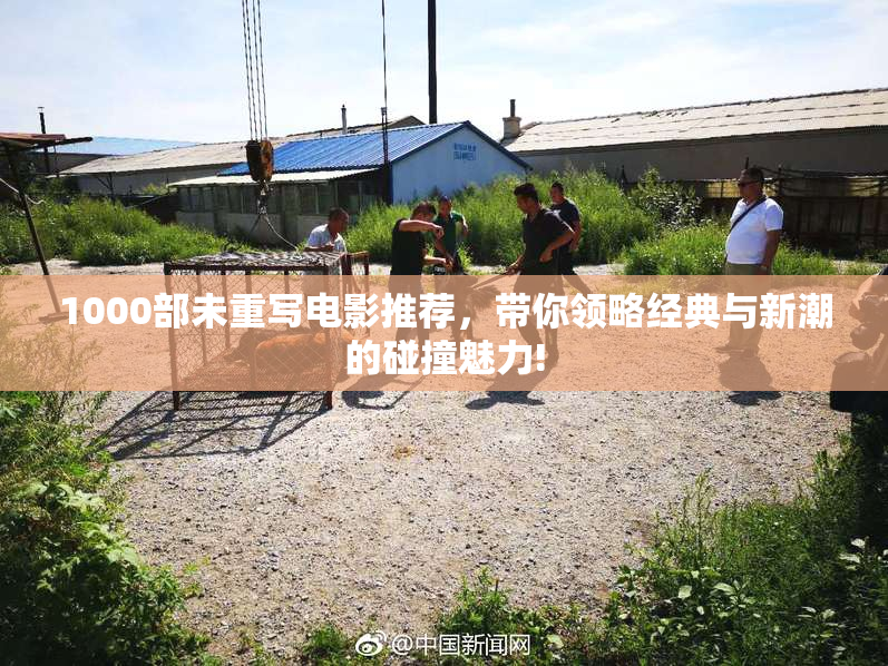 1000部未重写电影推荐，带你领略经典与新潮的碰撞魅力!