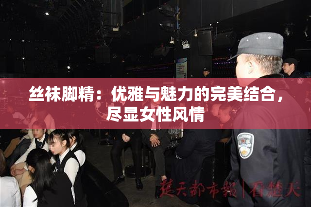 丝袜脚精：优雅与魅力的完美结合，尽显女性风情