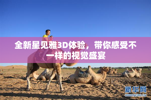 全新星见雅3D体验，带你感受不一样的视觉盛宴
