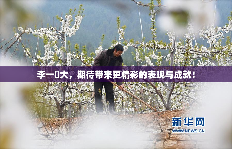 李一挏大，期待带来更精彩的表现与成就！