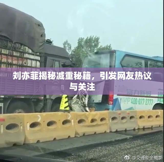 刘亦菲揭秘减重秘籍，引发网友热议与关注