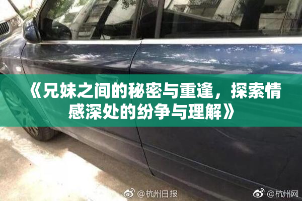 《兄妹之间的秘密与重逢，探索情感深处的纷争与理解》