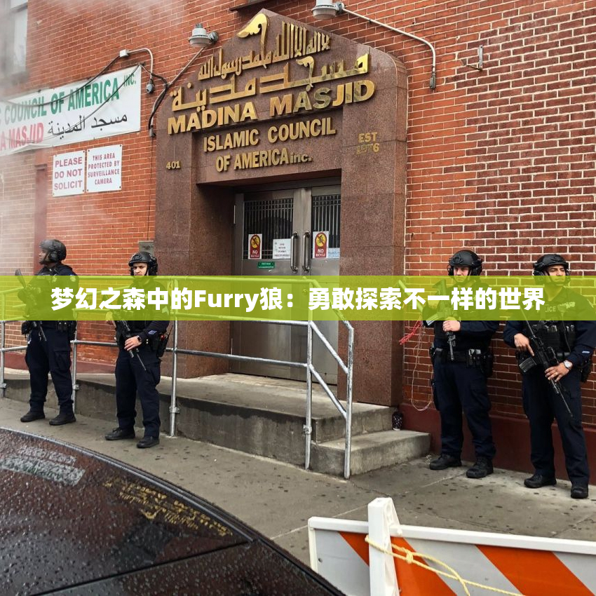 梦幻之森中的Furry狼：勇敢探索不一样的世界