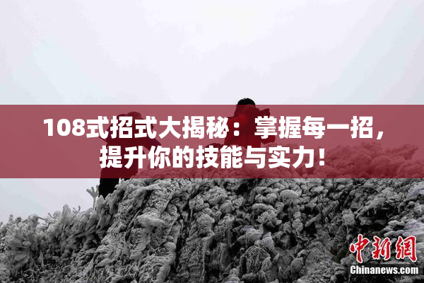 108式招式大揭秘：掌握每一招，提升你的技能与实力！