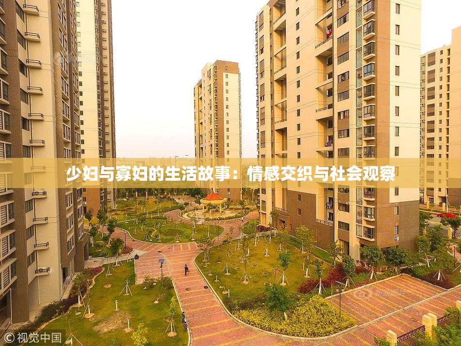 少妇与寡妇的生活故事：情感交织与社会观察
