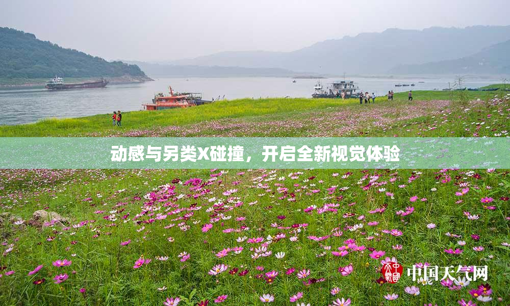 动感与另类X碰撞，开启全新视觉体验