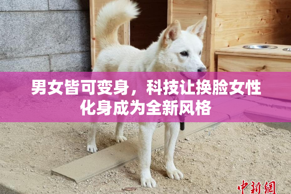 男女皆可变身，科技让换脸女性化身成为全新风格