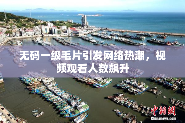 无码一级毛片引发网络热潮，视频观看人数飙升