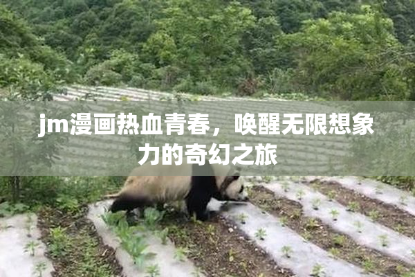 jm漫画热血青春，唤醒无限想象力的奇幻之旅