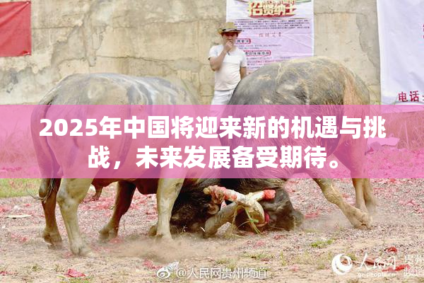 2025年中国将迎来新的机遇与挑战，未来发展备受期待。