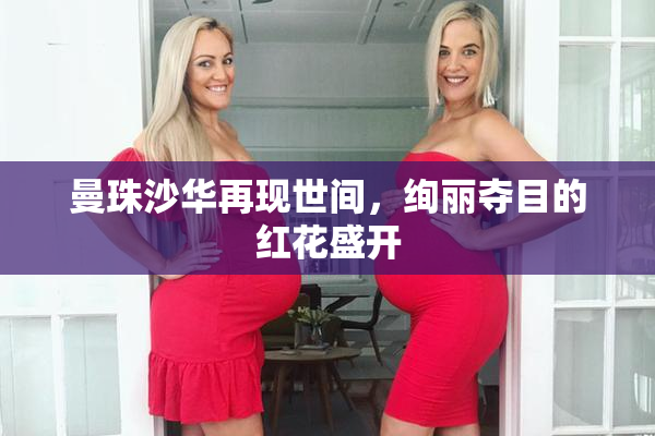 曼珠沙华再现世间，绚丽夺目的红花盛开