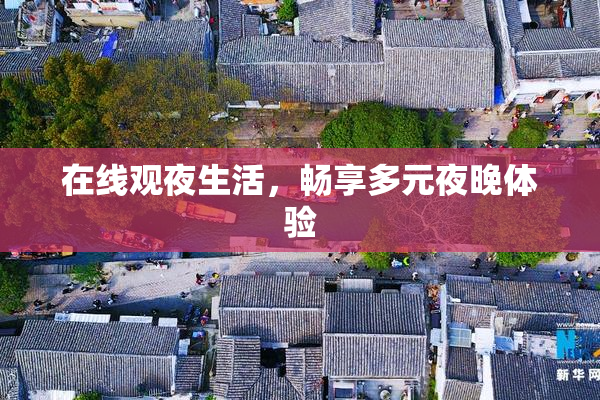 在线观夜生活，畅享多元夜晚体验