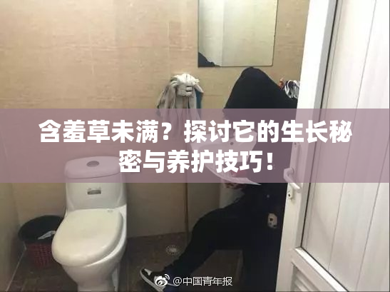 含羞草未满？探讨它的生长秘密与养护技巧！