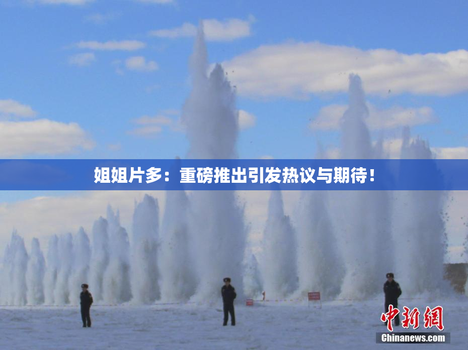 姐姐片多：重磅推出引发热议与期待！