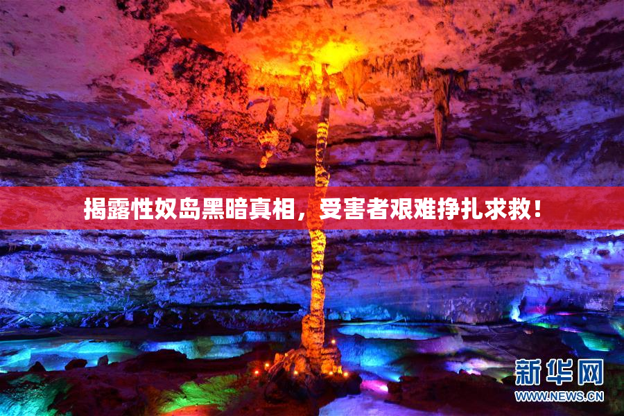 揭露性奴岛黑暗真相，受害者艰难挣扎求救！