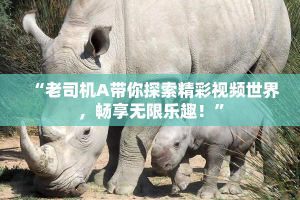 “老司机A带你探索精彩视频世界，畅享无限乐趣！”