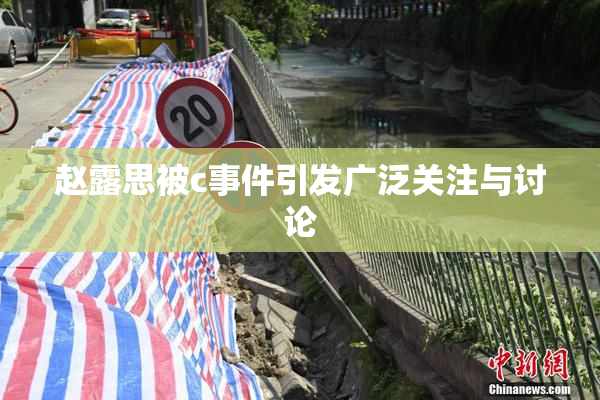 赵露思被c事件引发广泛关注与讨论