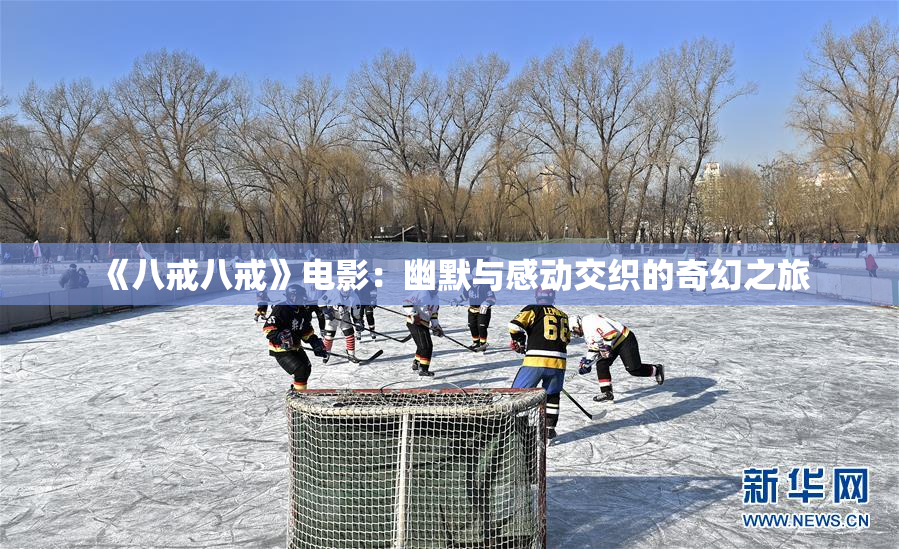 《八戒八戒》电影：幽默与感动交织的奇幻之旅