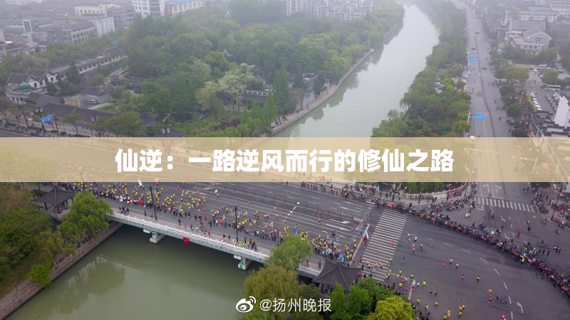 仙逆：一路逆风而行的修仙之路
