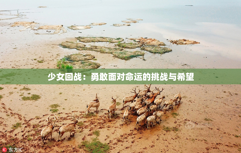 少女回战：勇敢面对命运的挑战与希望