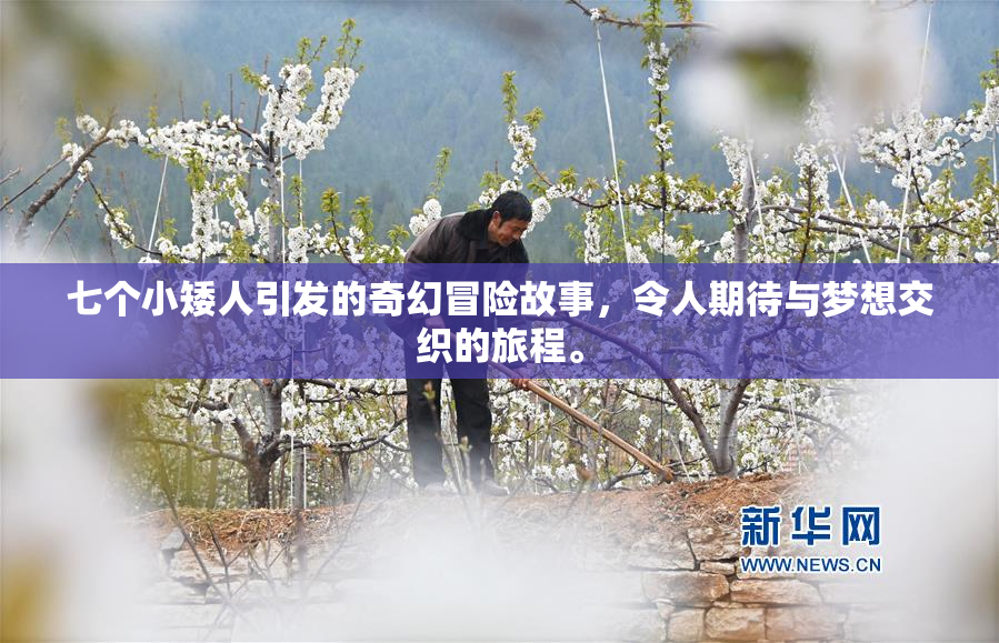 七个小矮人引发的奇幻冒险故事，令人期待与梦想交织的旅程。