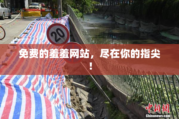 免费的羞羞网站，尽在你的指尖！