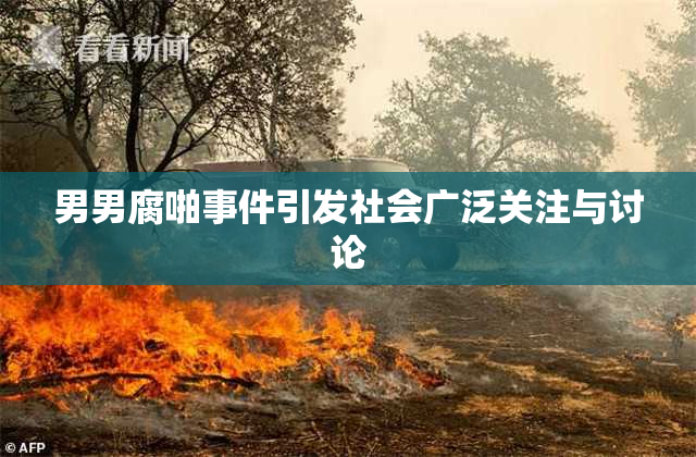 男男腐啪事件引发社会广泛关注与讨论