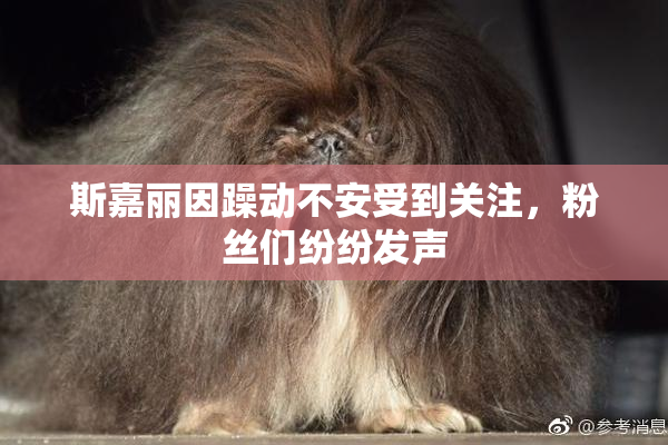 斯嘉丽因躁动不安受到关注，粉丝们纷纷发声