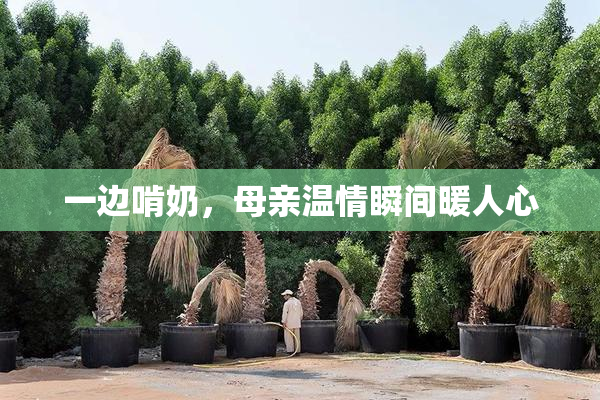 一边啃奶，母亲温情瞬间暖人心