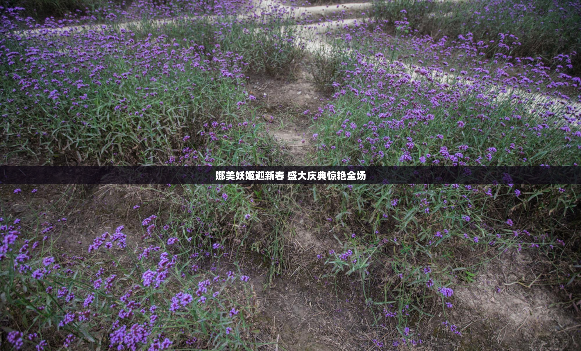 娜美妖姬迎新春 盛大庆典惊艳全场