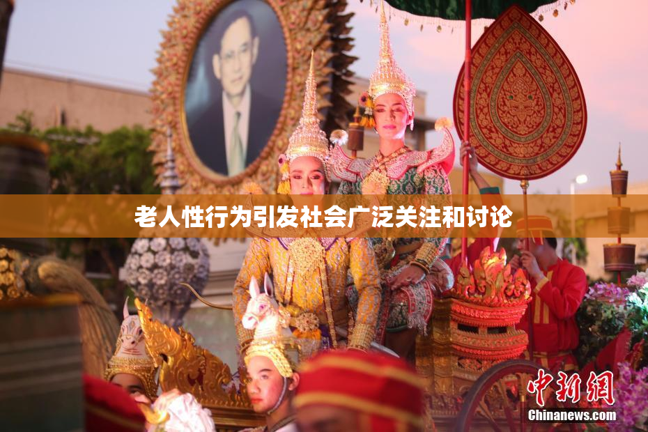 老人性行为引发社会广泛关注和讨论