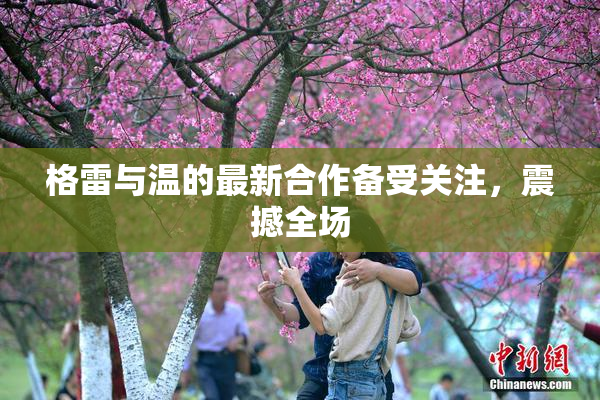 格雷与温的最新合作备受关注，震撼全场