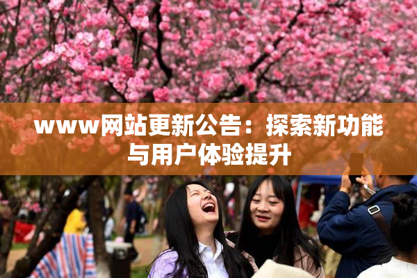 www网站更新公告：探索新功能与用户体验提升