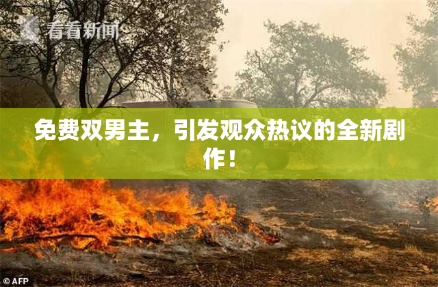 免费双男主，引发观众热议的全新剧作！