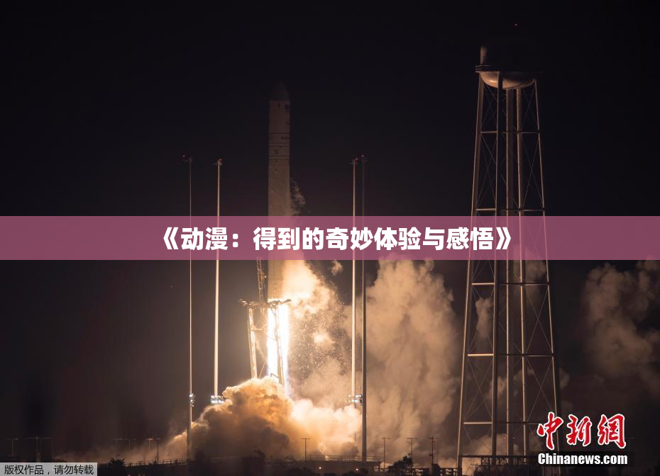 《动漫：得到的奇妙体验与感悟》