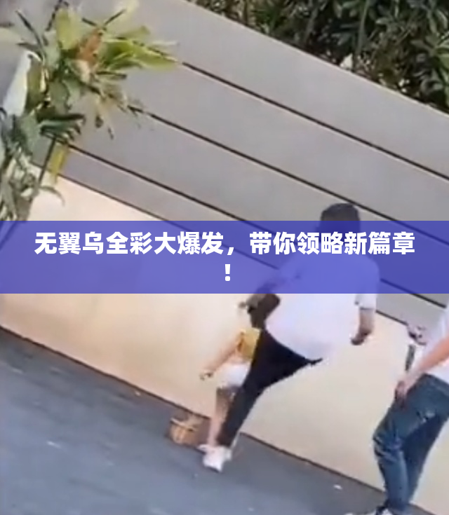 无翼乌全彩大爆发，带你领略新篇章！
