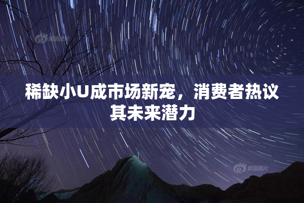 稀缺小U成市场新宠，消费者热议其未来潜力
