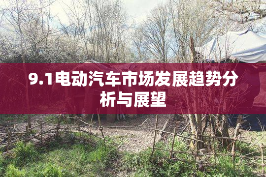 9.1电动汽车市场发展趋势分析与展望