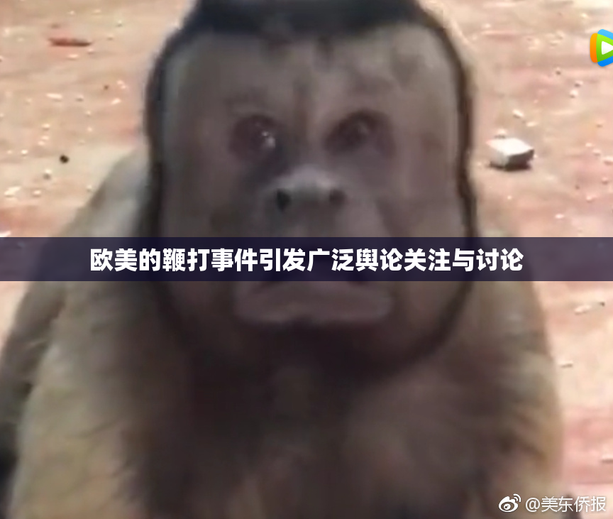 欧美的鞭打事件引发广泛舆论关注与讨论
