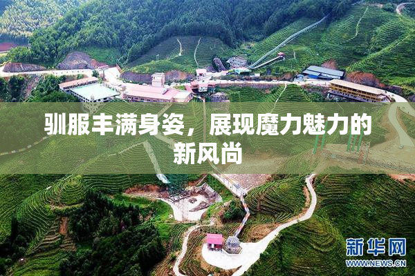 驯服丰满身姿，展现魔力魅力的新风尚