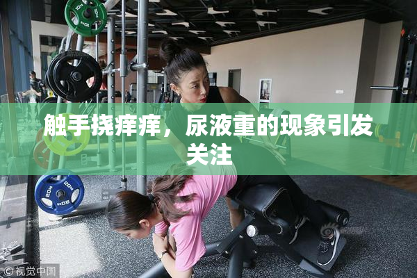 触手挠痒痒，尿液重的现象引发关注