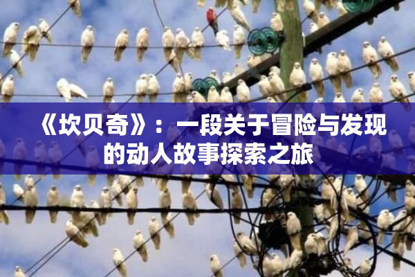《坎贝奇》：一段关于冒险与发现的动人故事探索之旅