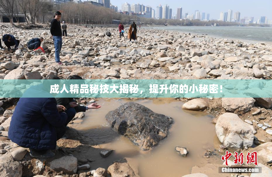 成人精品秘技大揭秘，提升你的小秘密！