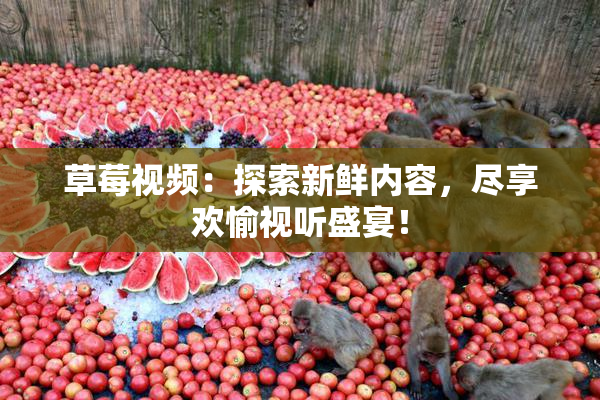 草莓视频：探索新鲜内容，尽享欢愉视听盛宴！