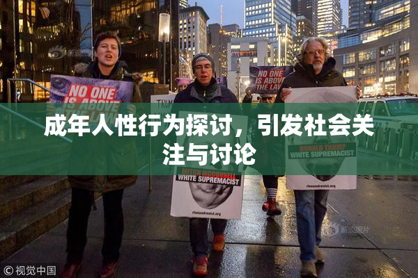 成年人性行为探讨，引发社会关注与讨论