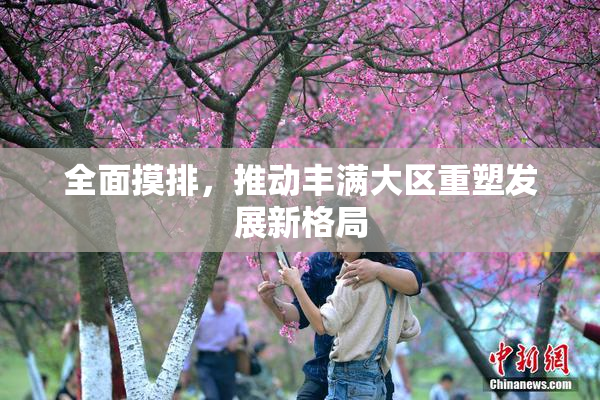 全面摸排，推动丰满大区重塑发展新格局