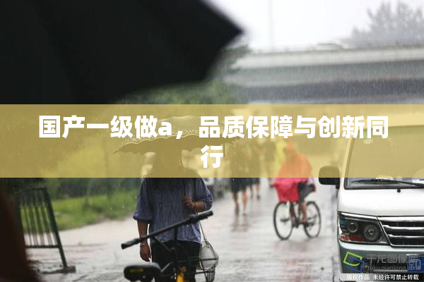 国产一级做a，品质保障与创新同行