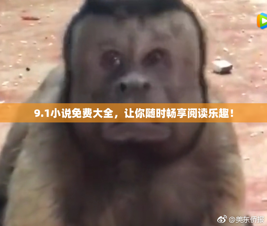 9.1小说免费大全，让你随时畅享阅读乐趣！