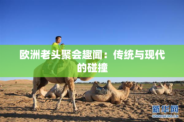 欧洲老头聚会趣闻：传统与现代的碰撞