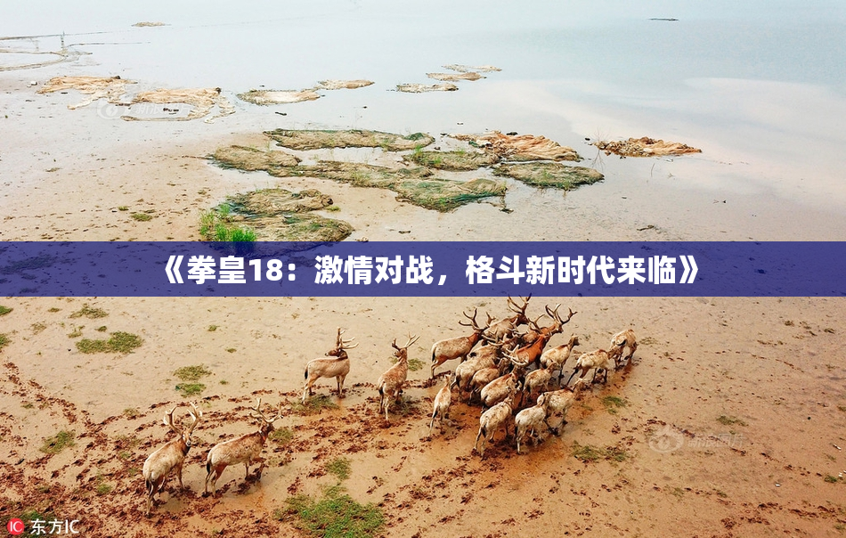 《拳皇18：激情对战，格斗新时代来临》
